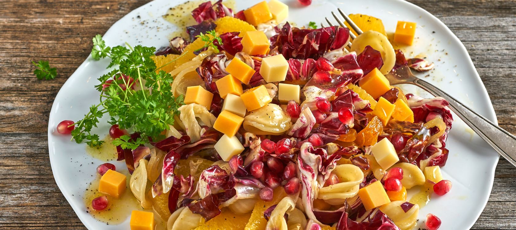 Lauwarmer Nudelsalat mit Radicchio, Granatapfel, Aprikosen und Finello Salatwürfeln