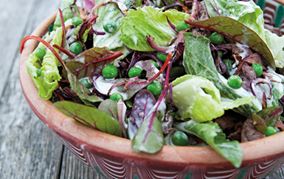 Salat med lune løg