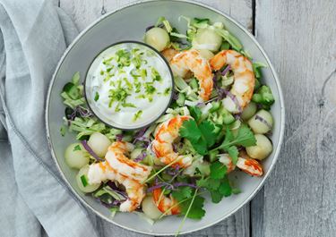 Salat med rejer og lime- og korianderdressing