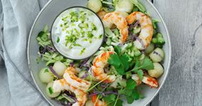 Salat med rejer og lime- og korianderdressing