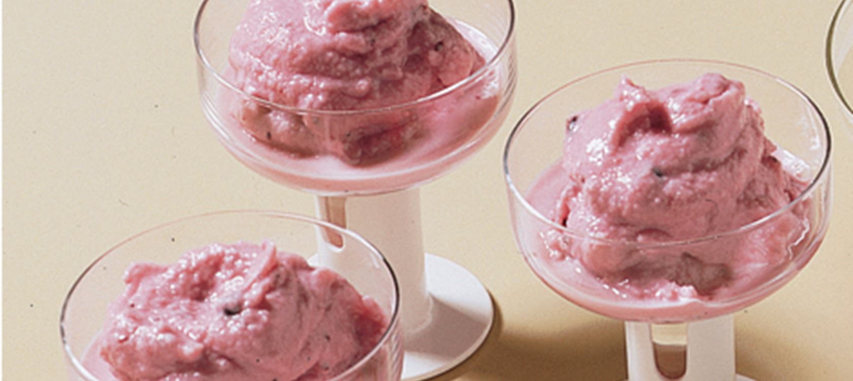Yoghurtsorbet med solbær