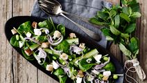 Frisk spinatsalat med mynte og salatost