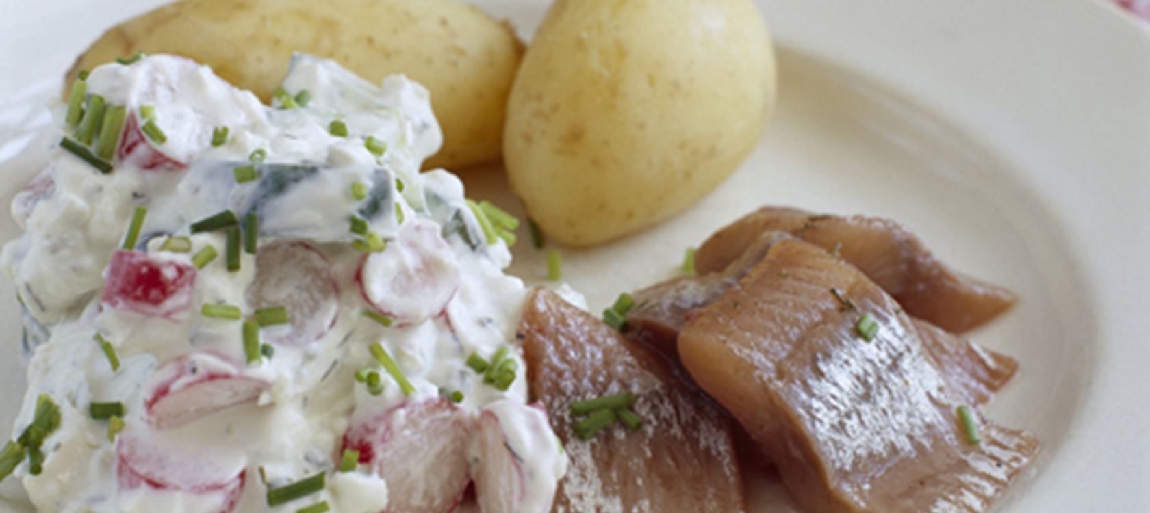 Matjessild med sommersalat