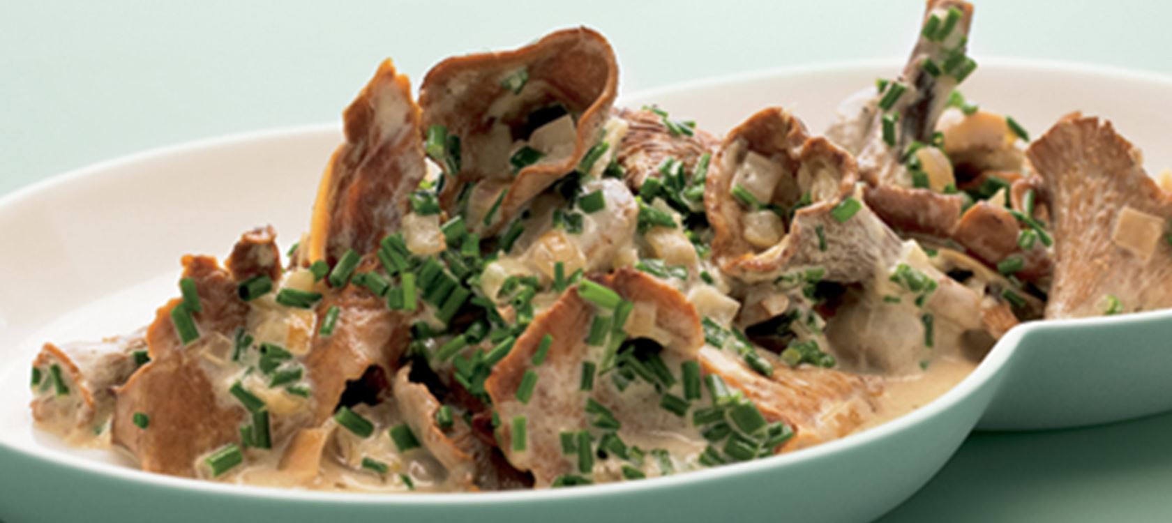 Kantarelragout