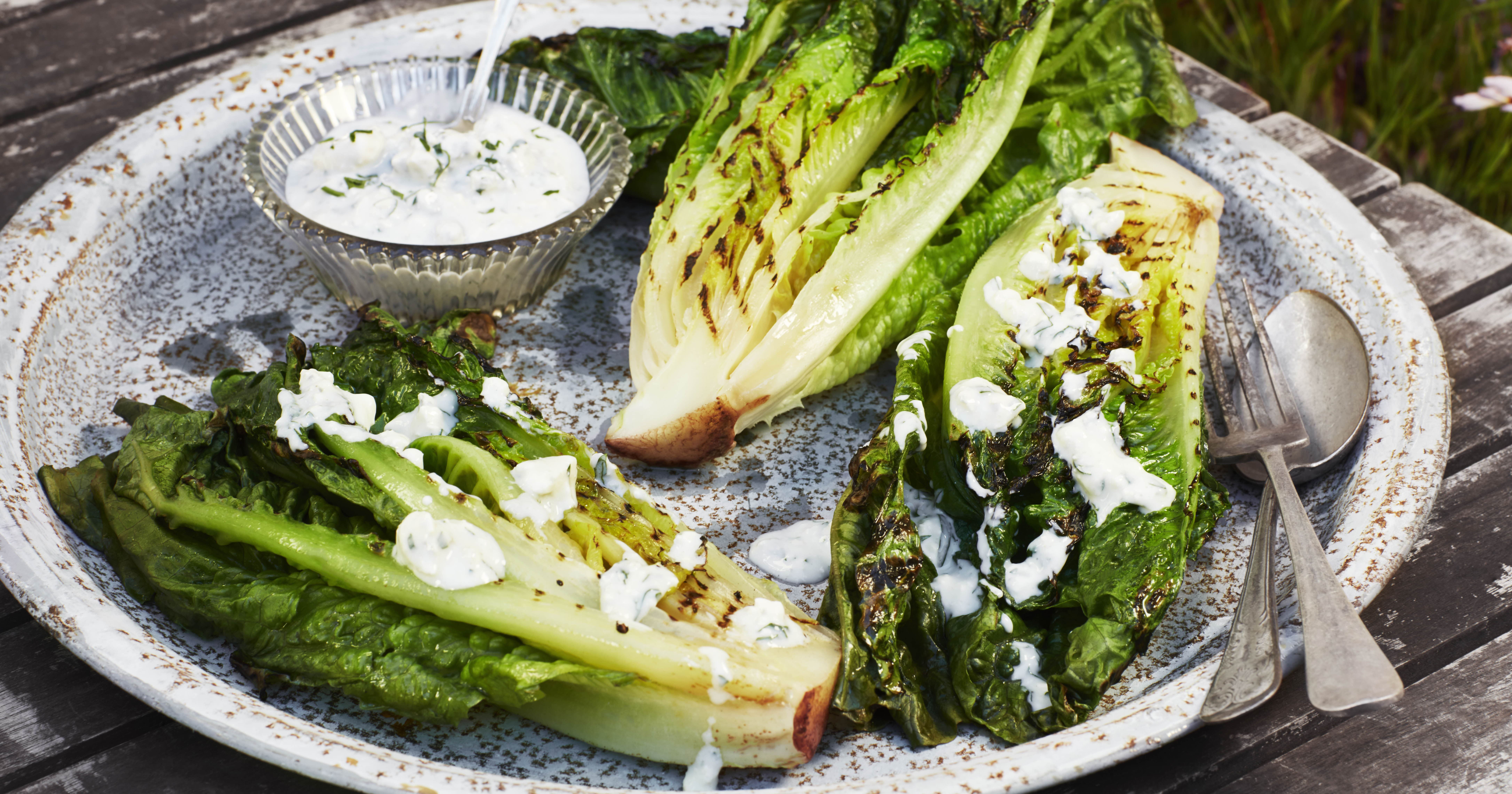 Grillet romainesalat med blåskimmeldressing