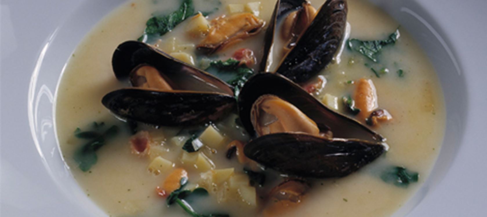 Muslingesuppe med østers
