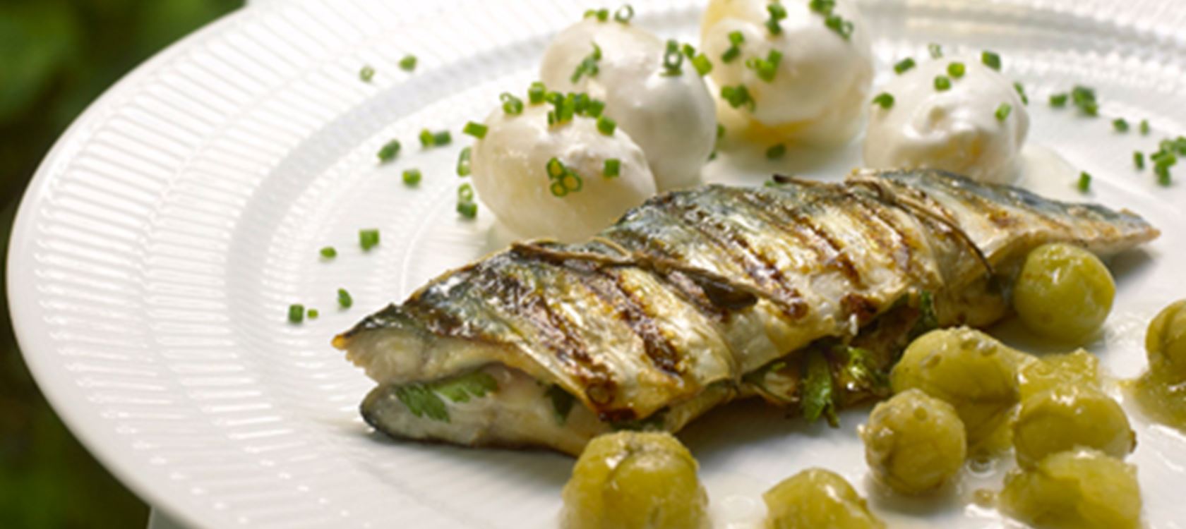 Grillet makrel og stikkelsbærkompot