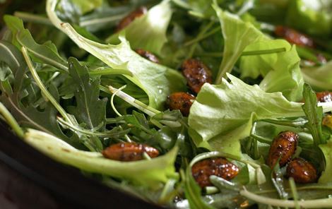 Salater + Vegetarisk madplan + Forretter
