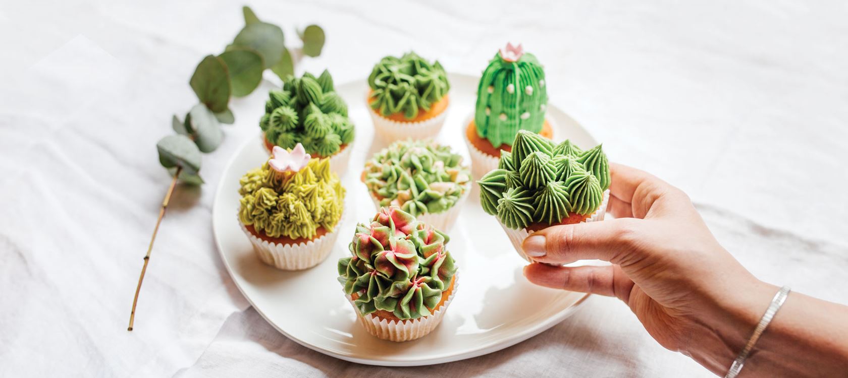 Succulent cupcakes eli mehikasvi muffinssit