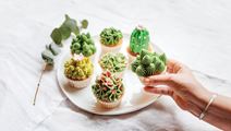 Succulent cupcakes eli mehikasvi muffinssit