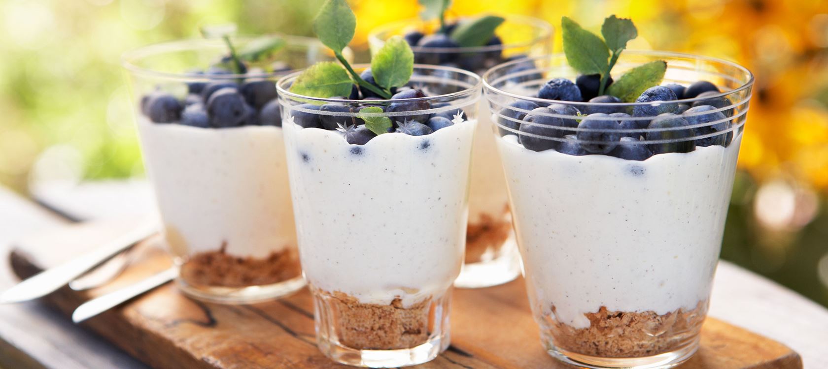 Lactosevrije vanilleyoghurt dessert