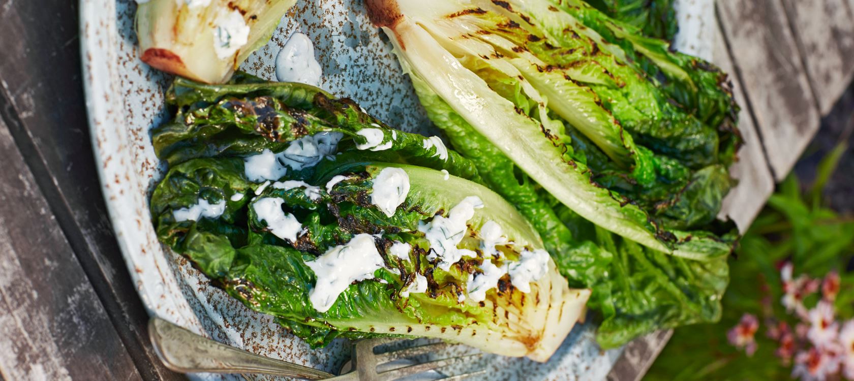 Gegrilde romaine sla met lactosevrije dressing