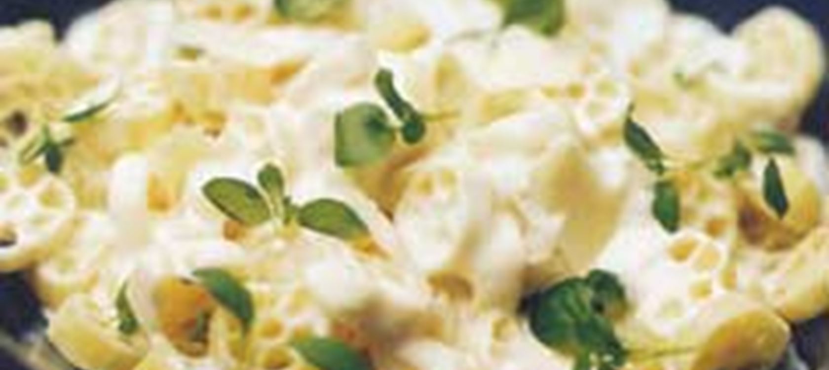 Pasta med paprika- och vitlökssås