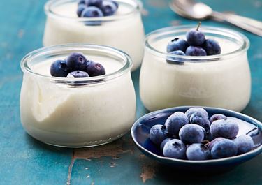 Yoghurtpannacotta med blåbär