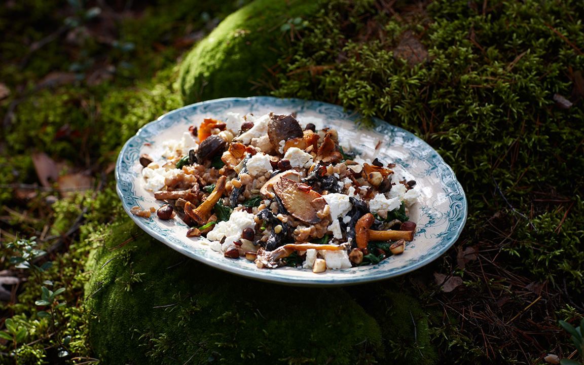 Svamp och spenat med dinkel