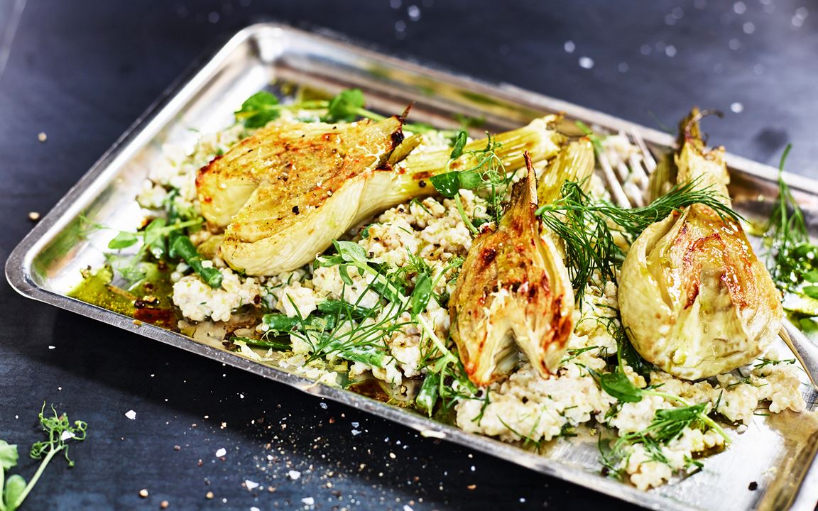 Cheddarbakad fänkål med krämig bulgur