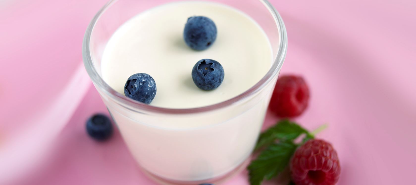 Pannacotta med färskost