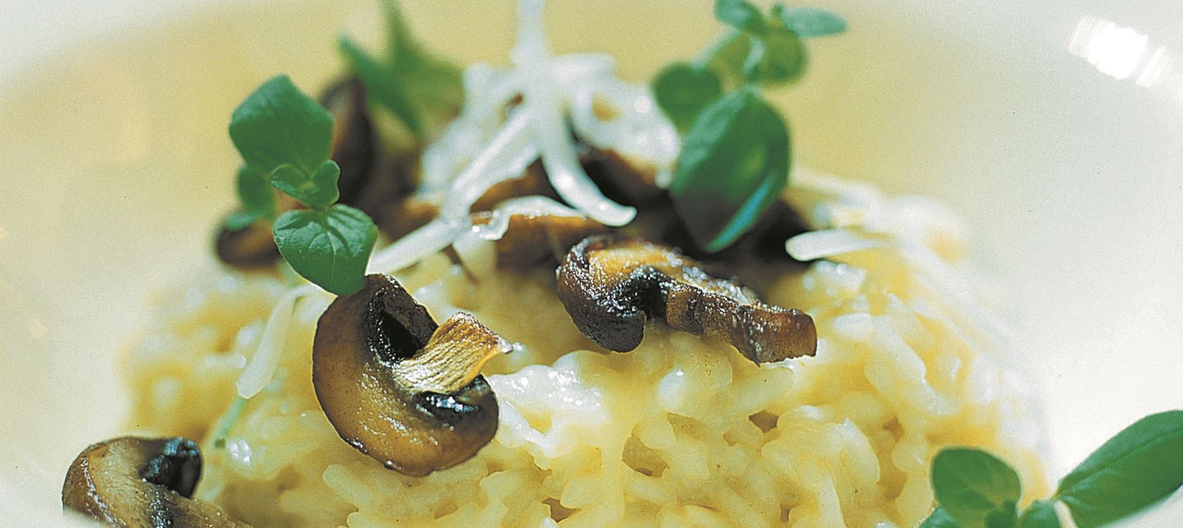 Risotto