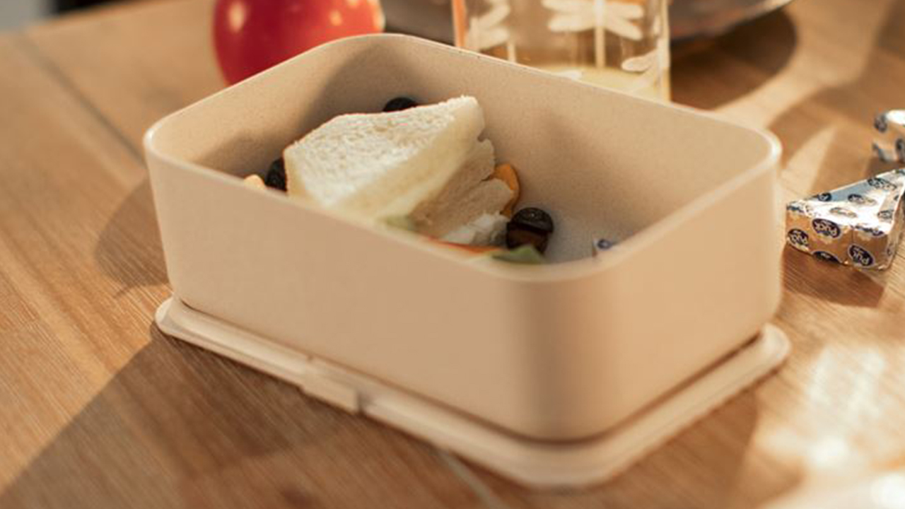 Toast Boat Lunchbox with Fresh Fruit and Puck Cheese Triangles 