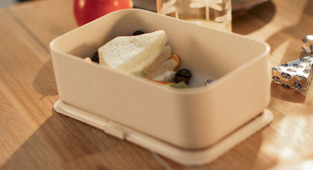 Toast Boat Lunchbox with Fresh Fruit and Puck Cheese Triangles 