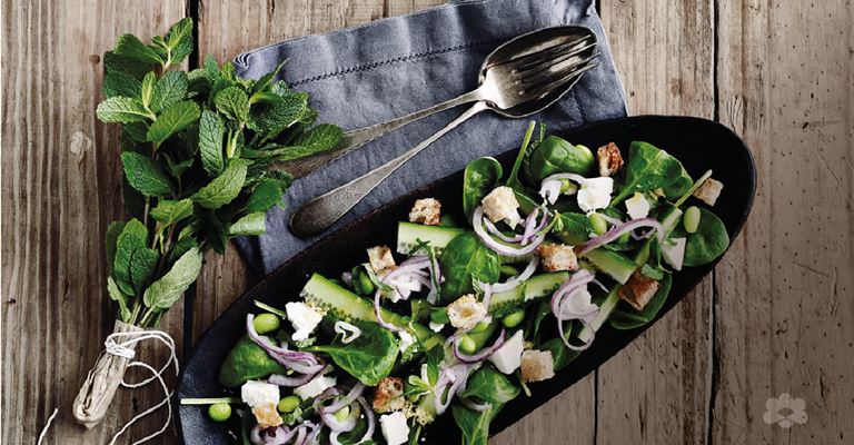 Fresh spinach salad with mint and cheese 