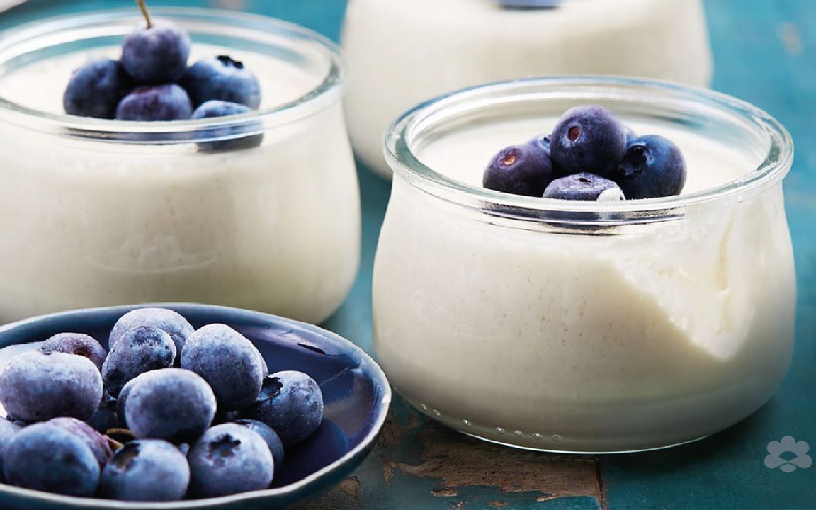 Yogurt panna cotta with blueberries 