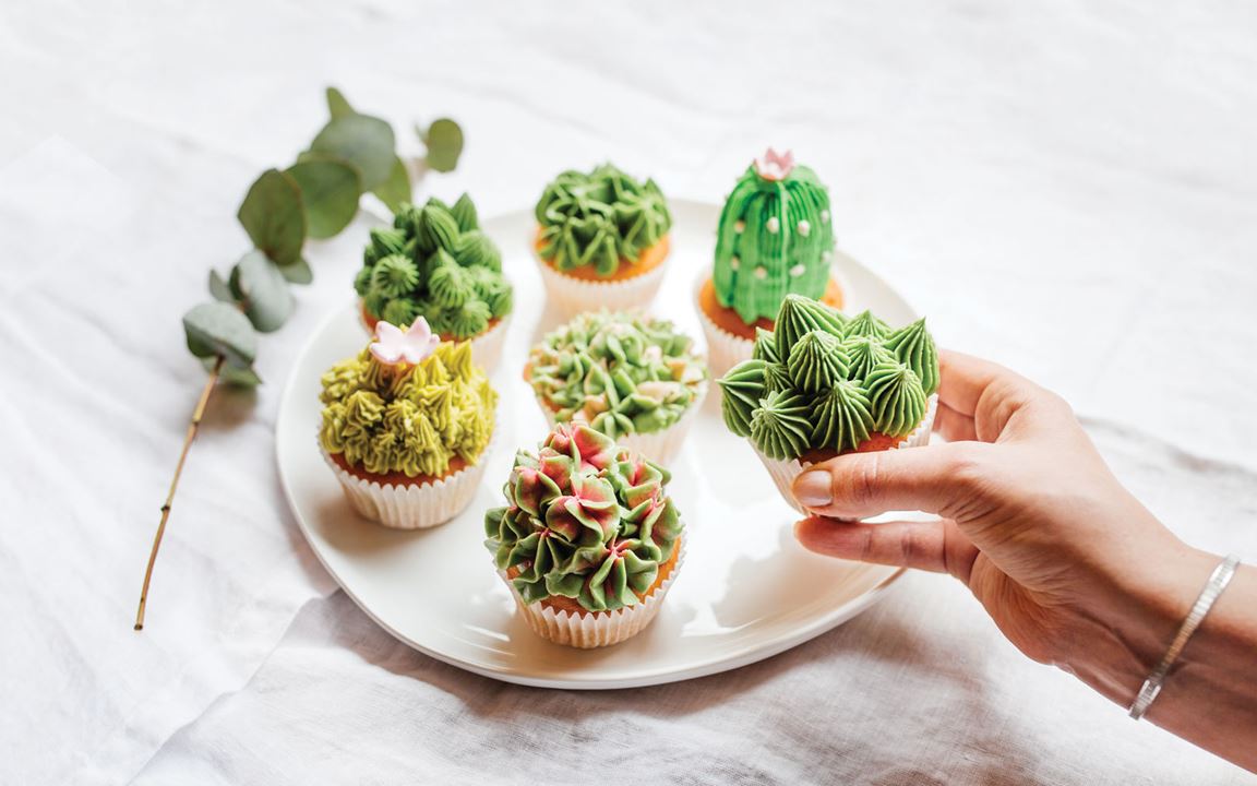 Succulent cupcakes eli mehikasvi muffinssit