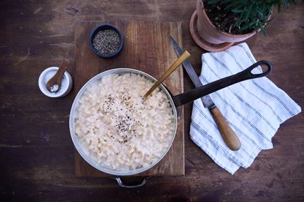 Creamy Macaroni Cheese