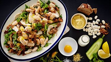 Chicken salad with lamb’s lettuce and dandelion