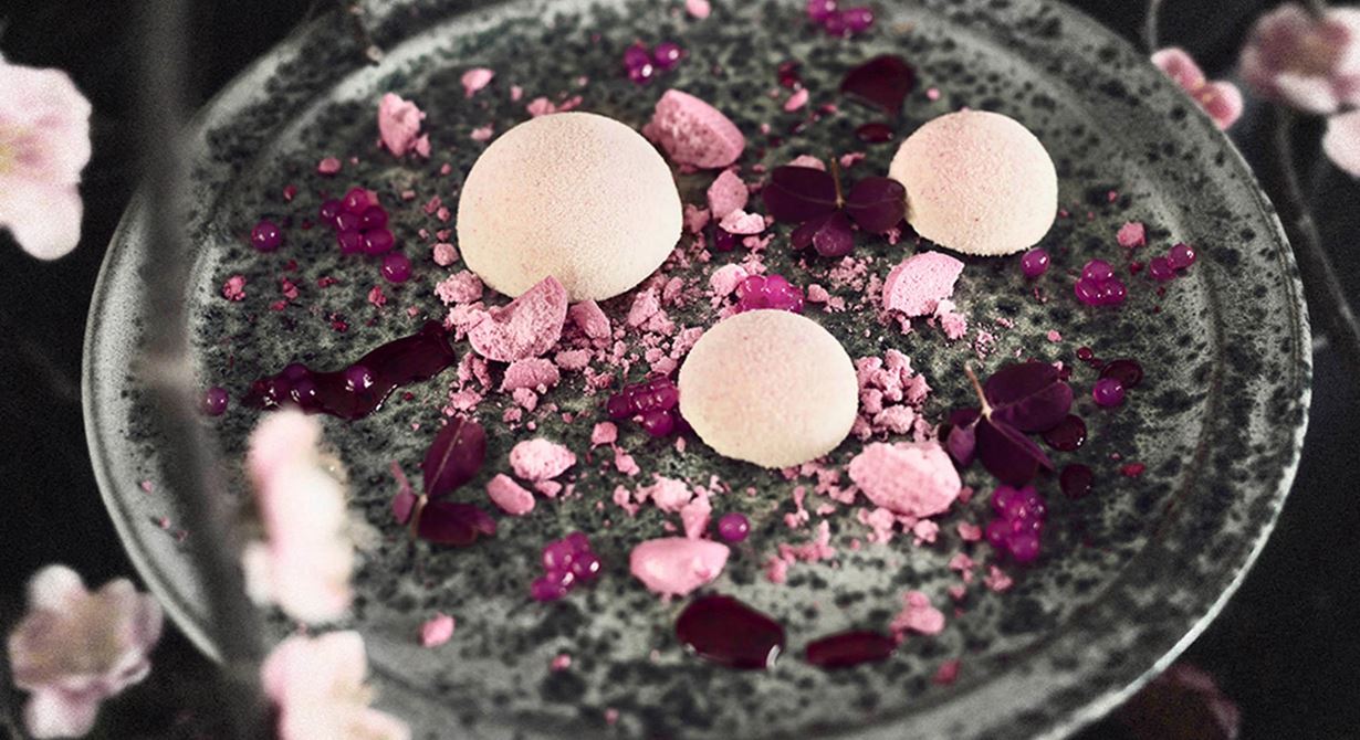 En fluffig bavaroise med vit choklad och svartvinbärsblad bildar basen i denna sötsyrliga hyllning till vårens primörer. Spänstig rabarber och färgstark rödbeta ger pigment åt en rosa explosion på tallriken, som dekoreras med krossade, starkt rosa maränger. Pretty in pink.
