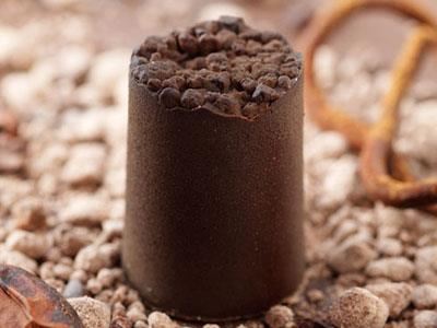 I ett hölje av krispig choklad finns en inkapslad tryffel. Höljet är fryssprayat med choklad. Allt på bilden är olika texturer av choklad.